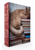 Puzzle Cat Nap Book Box Puzzle, Clamshell