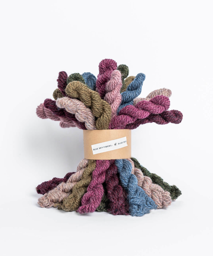 Woolstok Worsted Mini Hank Bundle by Blue Sky Fibers